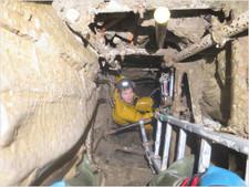 Thumbnail of photo from this article